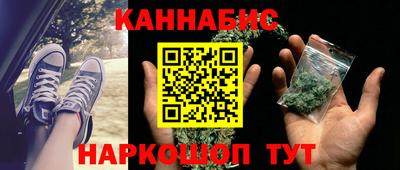 прущие грибы Нальчик