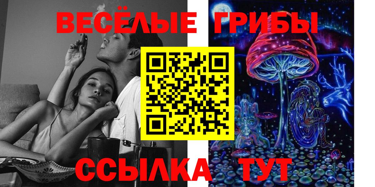 Ульяновск  продажа наркотиков  Вход с VPN  Псилоцибиновые грибы прущие грибы 